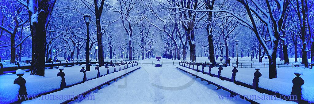 winter central park wallpaper. Central Park Mall In Winter