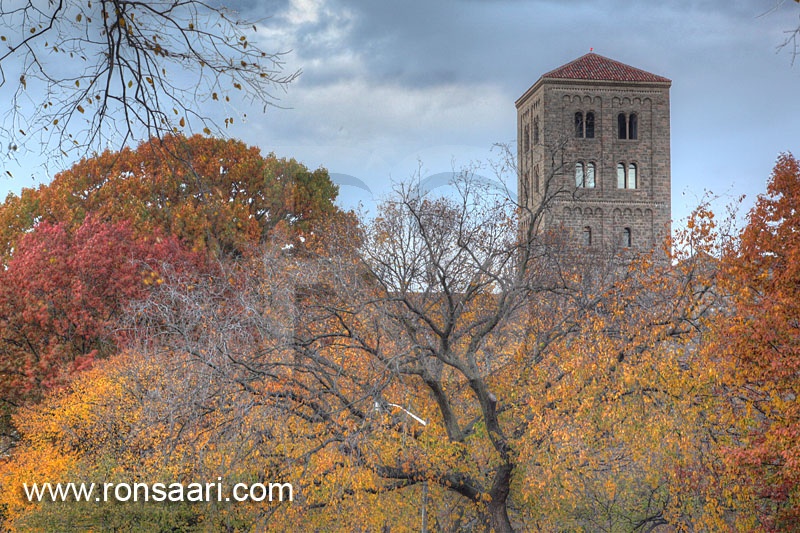 Ft. Tyron Park In Autumn
