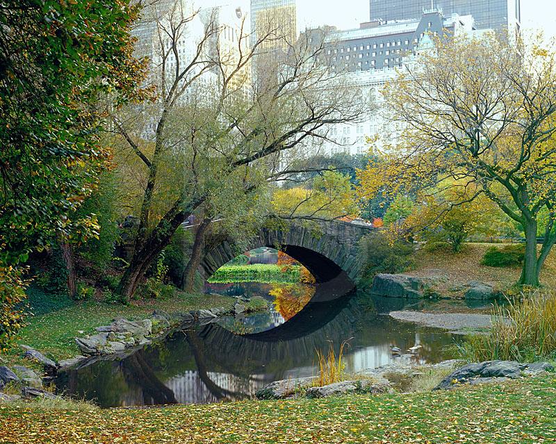 Central Park Gapstow Bridge In Autumn