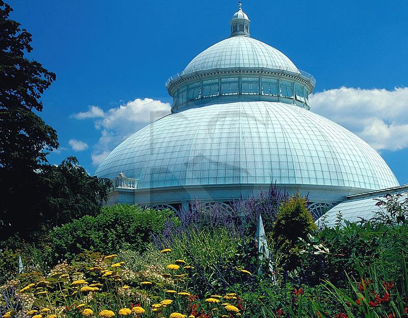 New York Botanical Garden 2
