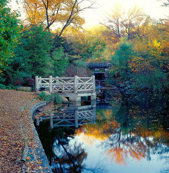The Lullwater and Binnen Falls, Prospect Park