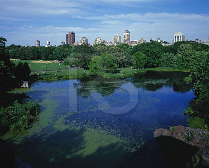 Turtle Pond And Great Lawn