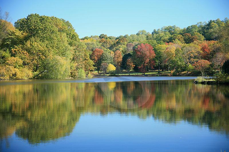 Van Cortlandt Lake 1, Van Cortlandt Park
