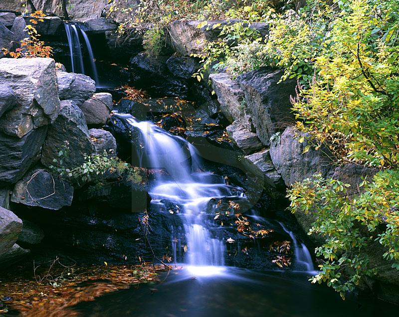 Waterfall At The Loch, Central Park