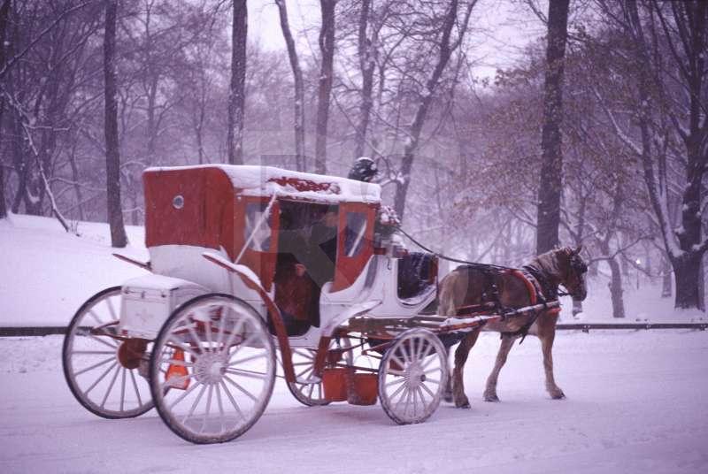 Central Park, Horse-drawn Carriage