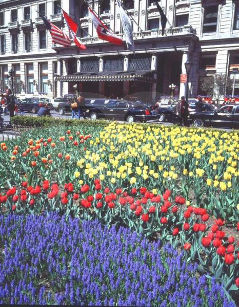 Plaza Hotel 1