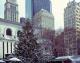 Bryant Park Christmas Tree