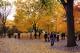 Central Park Fall Color 1