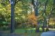 Forest Park