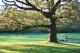 Forest Park Golf Course