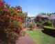 Brooklyn Botanic Garden, Rose Garden