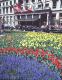 Hotels And Lodging