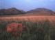 Wichita Mountains National Wildlife Refuge