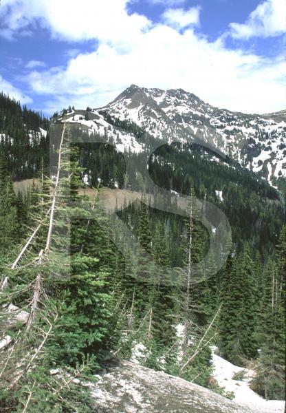Olympic National Park, Hurricane Ridge