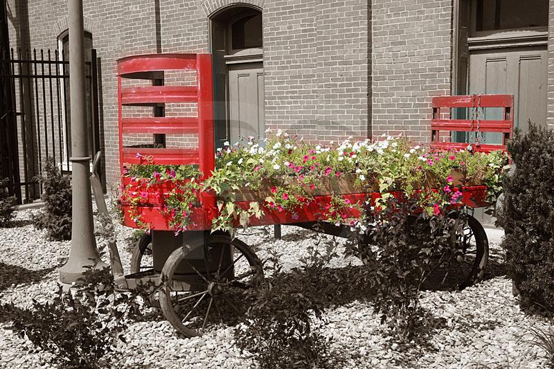 Baggage Cart
