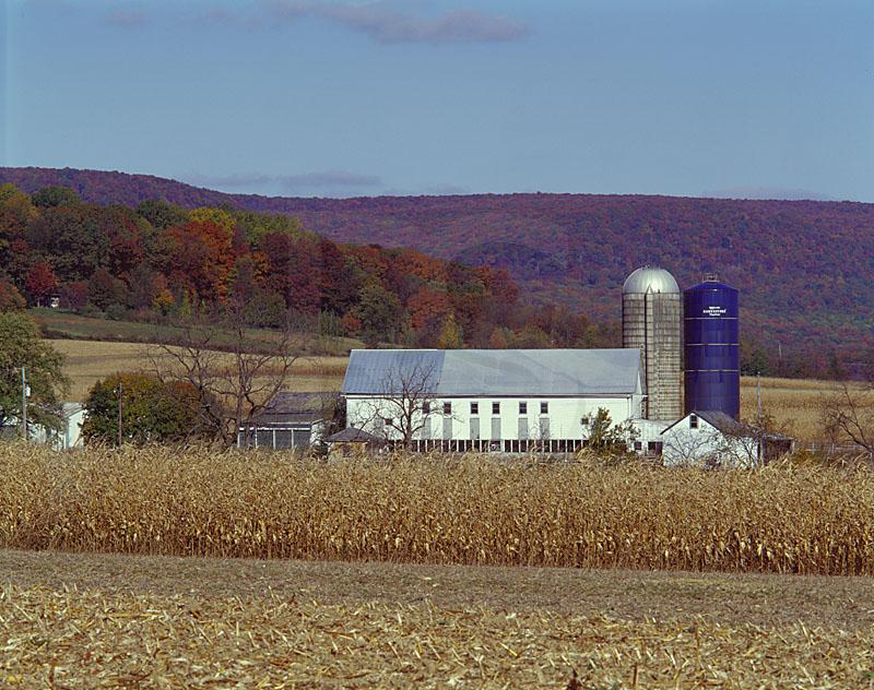 Berks County Farmscape in Autumn
