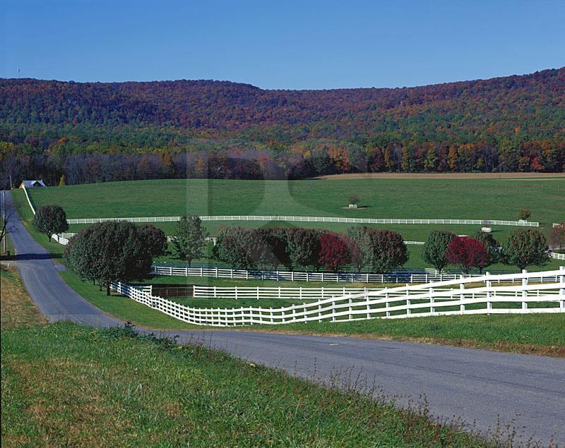 Bloody Spring Farm In Autumn