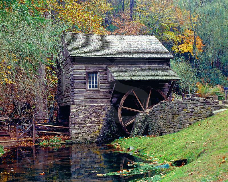 Bromley Mill In Autumn, Cuttalossa Farm