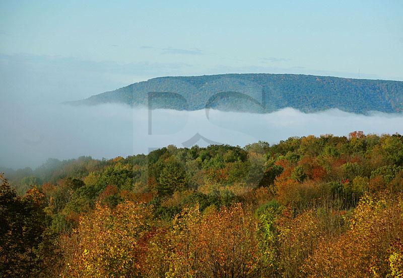 Early Morning Fog Over Susquehanna River