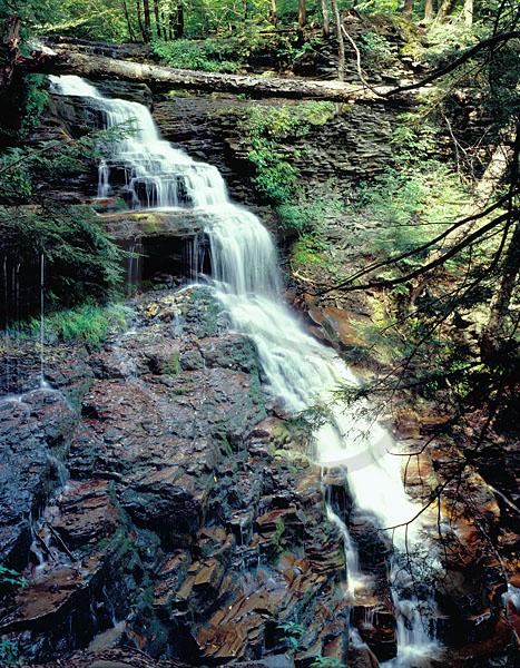 Ganoga Falls, Ricketts Glen State Park