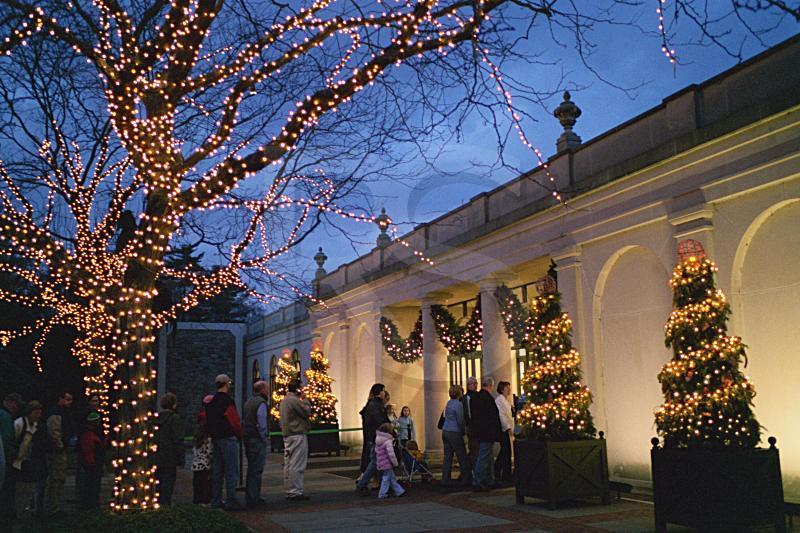Longwood Gardens, Christmas Display 1