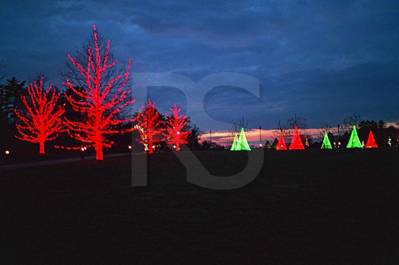 Longwood Gardens, Chirstmas Display 3