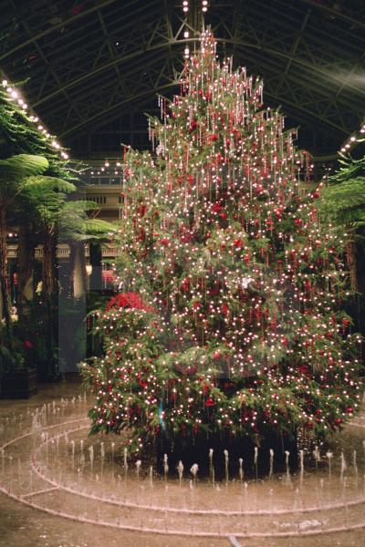 Longwood Gardens, Chirstmas Display 4