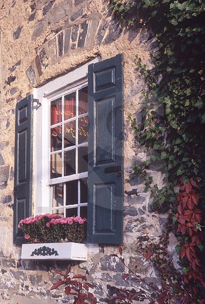 Antique Shop Window