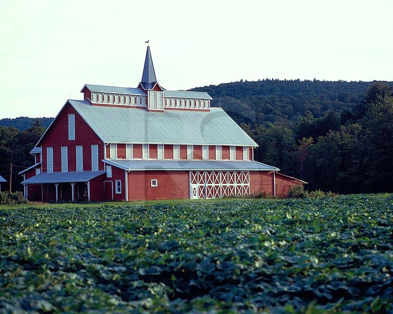 O.B. Savage Barn
