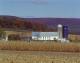 Berks County Farmscape in Autumn