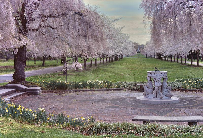 Centennial Arboretum 1, Fairmount Park