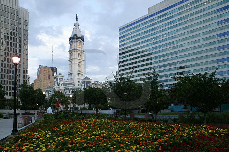 Marigolds At JFK Plaza