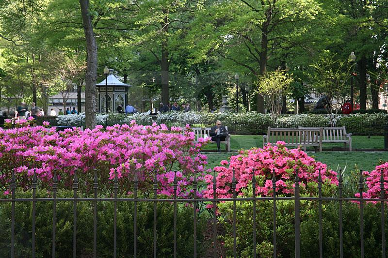 Rittenhouse Square 3