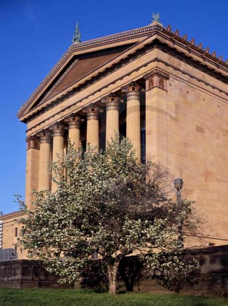 Museum Of Art