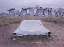 Carhenge