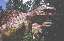 Dinosaur World