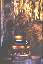 Luray Caverns, Stalagpipe Organ