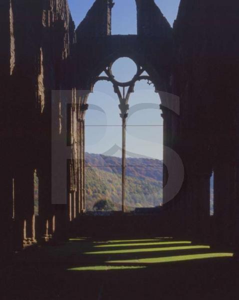 Tintern Abbey 2