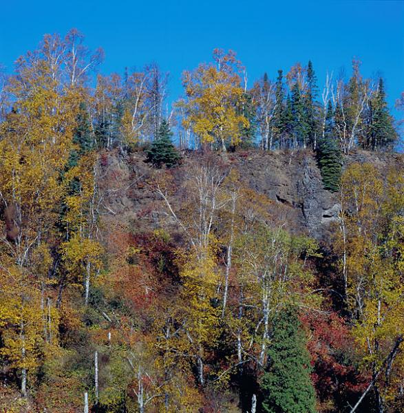 Gooseberry River Gorge