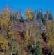 Gooseberry River Gorge