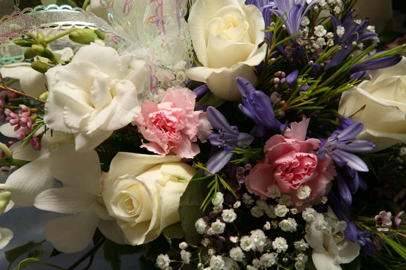 JR0015.jpg