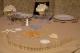 RP0012.jpg